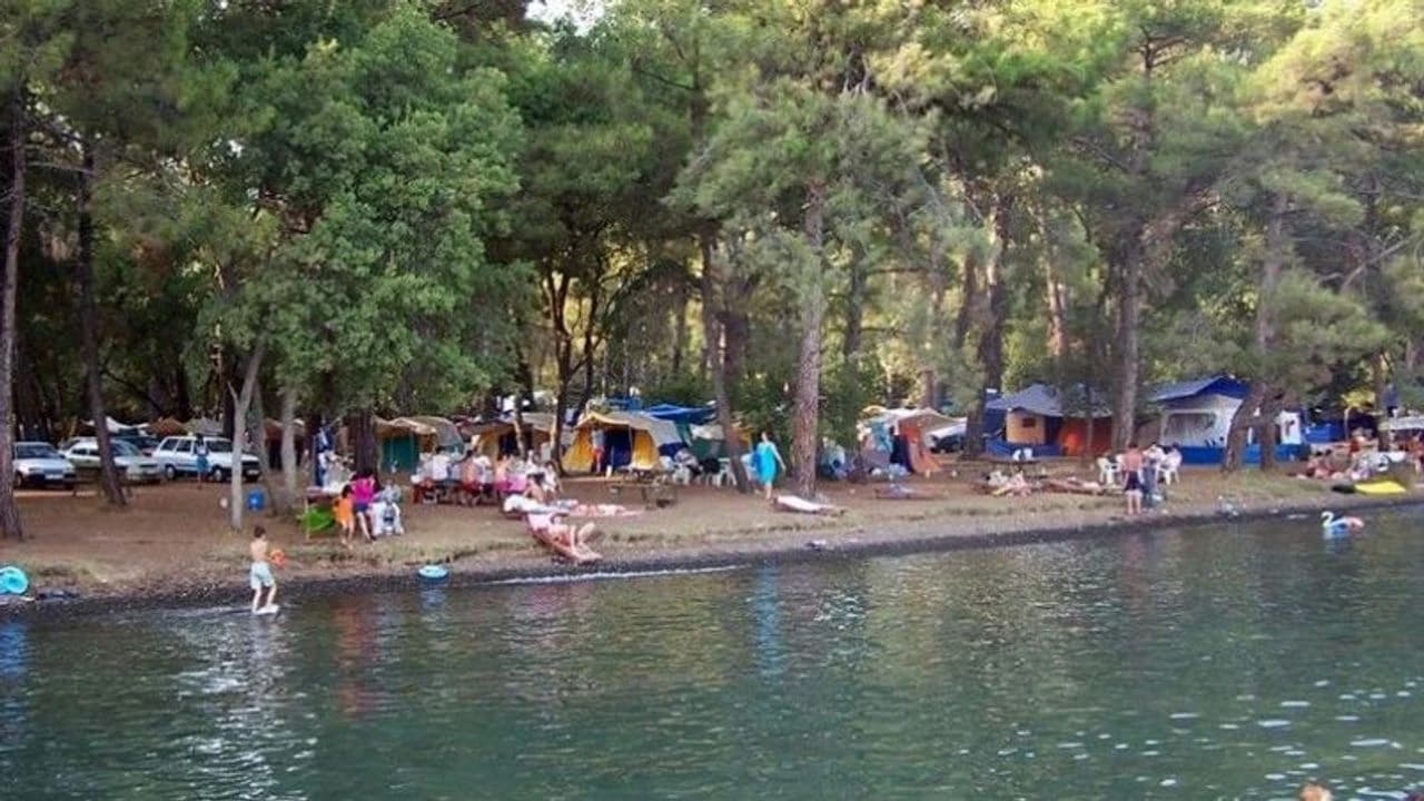 Tarım Av Bayii yakınında gezilecek yerler - Çubucak Orman Kampı